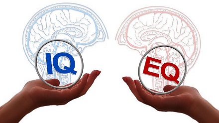Emocionálna inteligencia a sociálna inteligencia v praxi vzdelávania